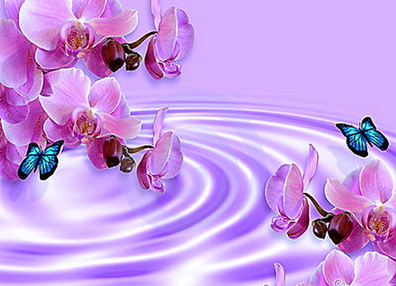 Purple Orchids and Butterflies