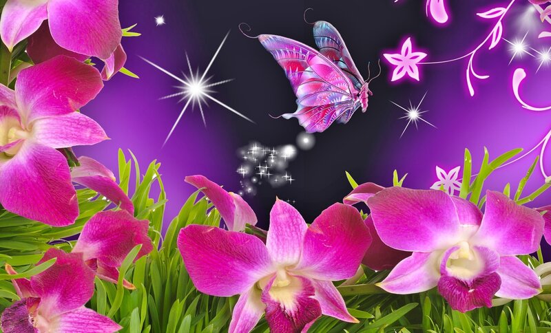 Purple Orchids and Butterfly — Magical, Night, Digital Art, Flowers