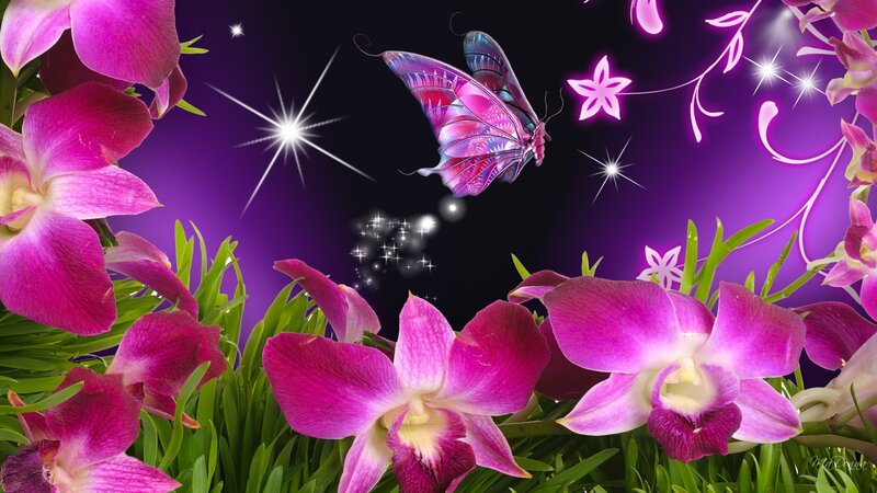 Purple Orchids and Butterfly — Magical, Night, Digital Art