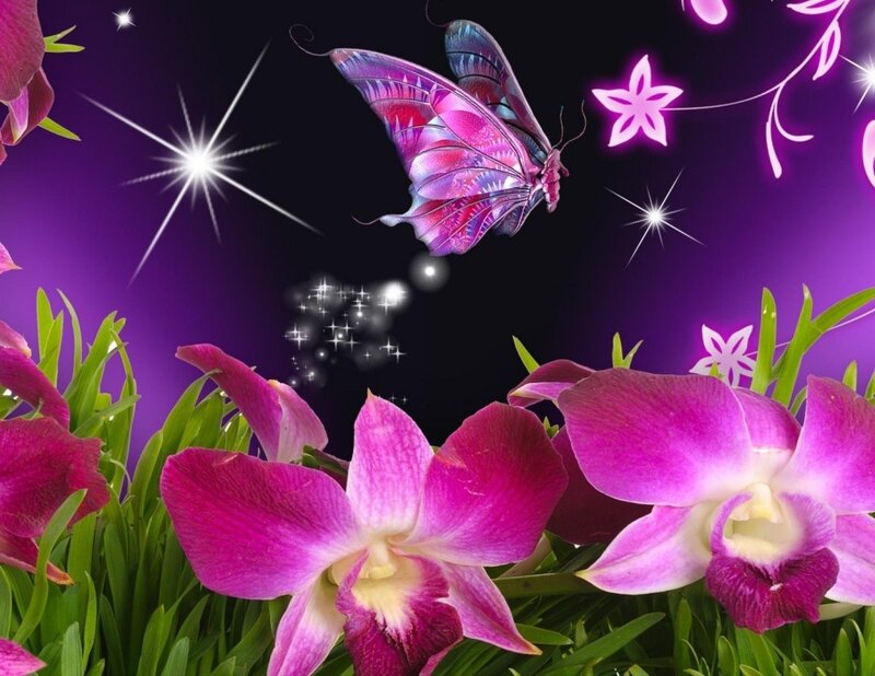 Purple Orchids and Butterfly — Magical, Night