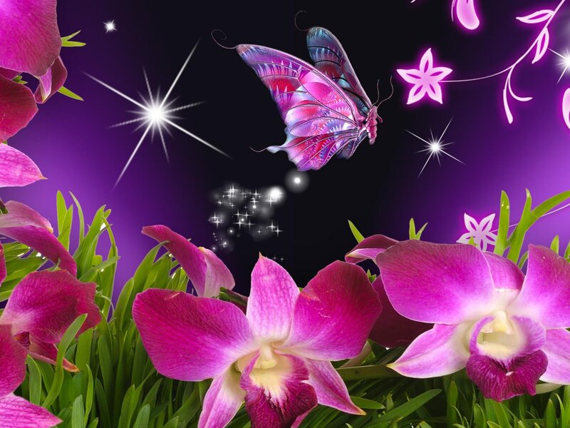 Purple Orchids and Butterfly — Magical