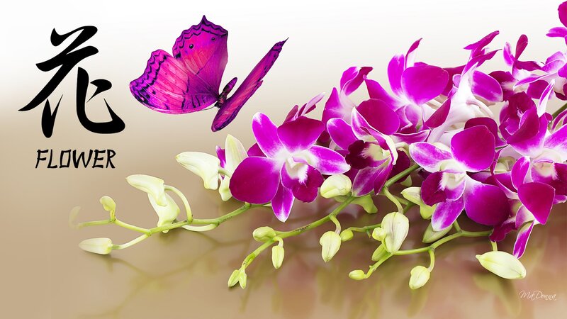 Purple Orchids and Butterfly — Serene
