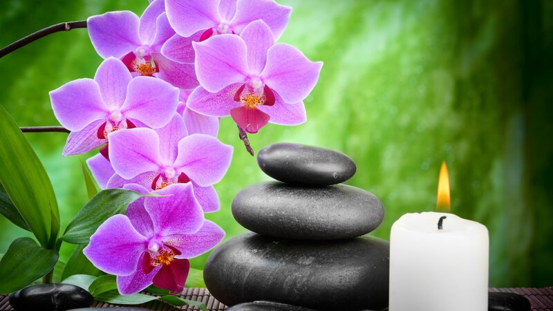 Purple Orchids and Stones