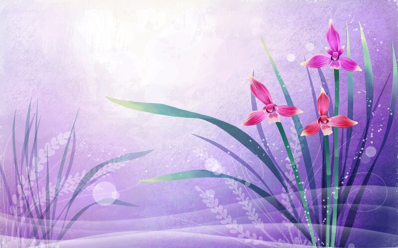 Purple orchids in a dreamy garden