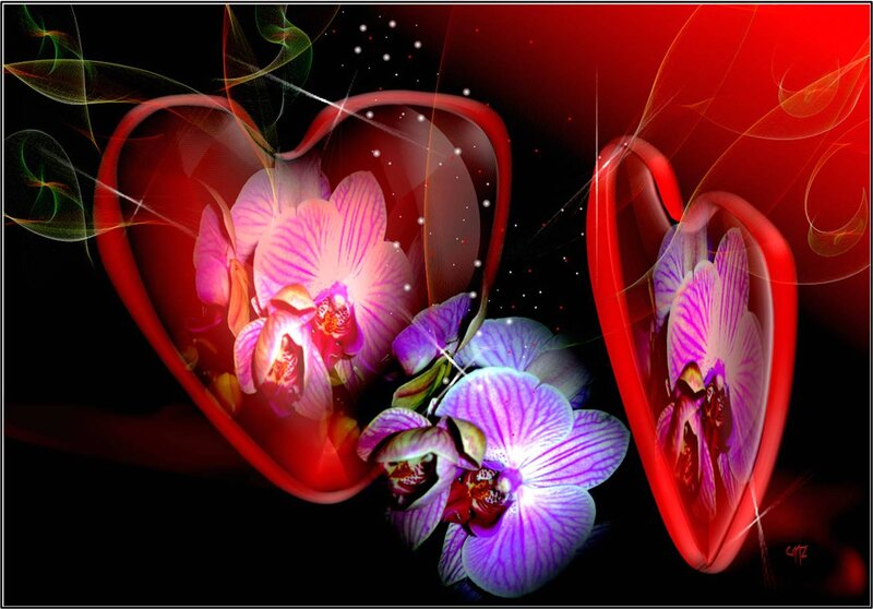 Purple Orchids in Hearts