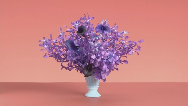 Purple Orchids in Vase — Calm