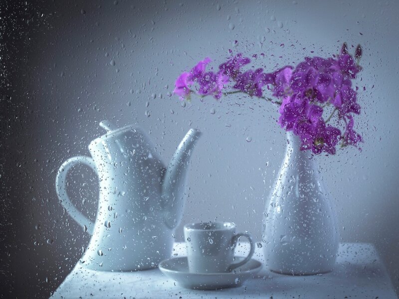 Purple Orchids in Vase — White