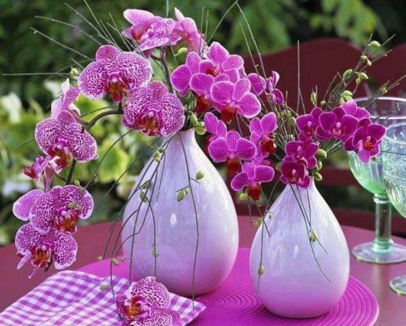 Purple Orchids in Vases — Calm, Afternoon, Photograph