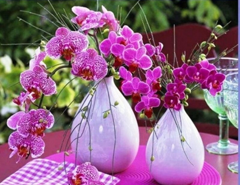 Purple Orchids in Vases — Calm, Afternoon