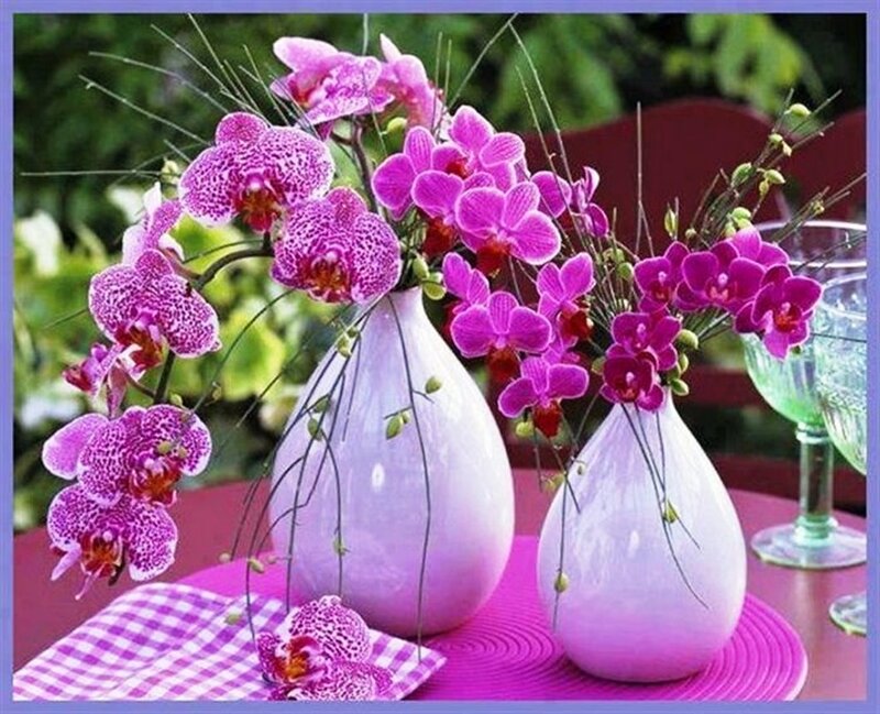Purple Orchids in Vases — Calm