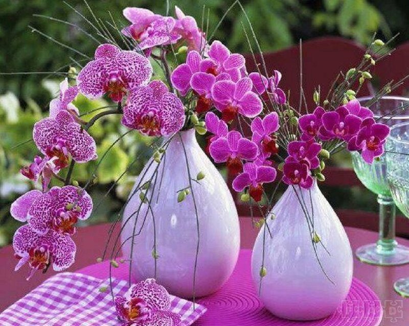 Purple Orchids in Vases