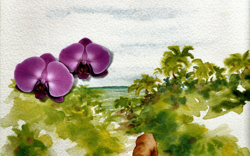 Purple Orchids on Beach