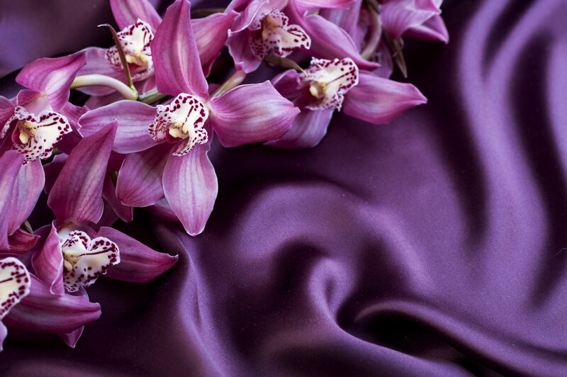 Purple Orchids on Fabric