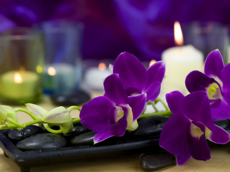 Purple Orchids on Stones — Calm