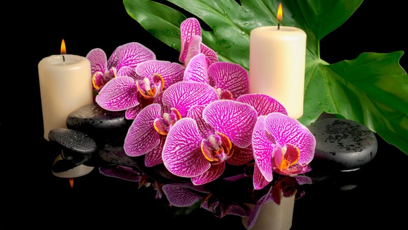 Purple Orchids with Candles — Serene