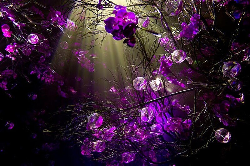 Purple Orchids with Glass Orbs
