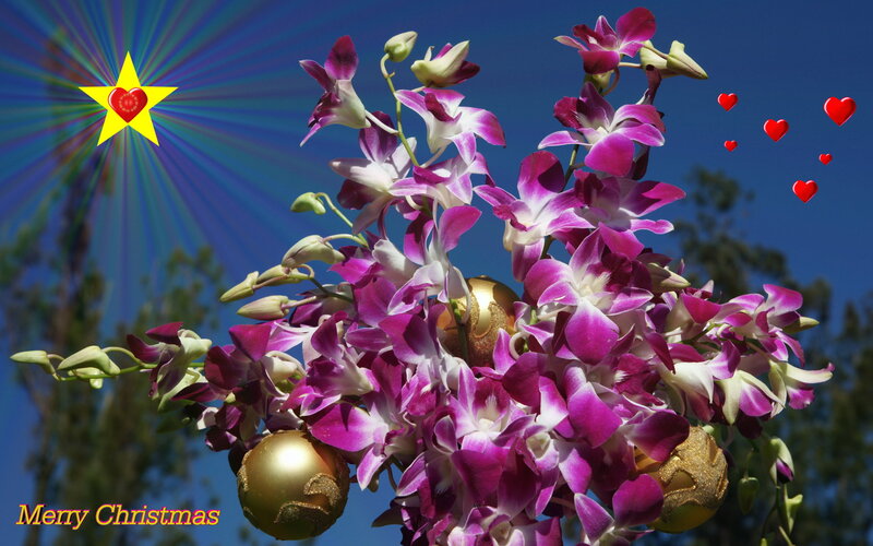 Purple Orchids with Ornaments