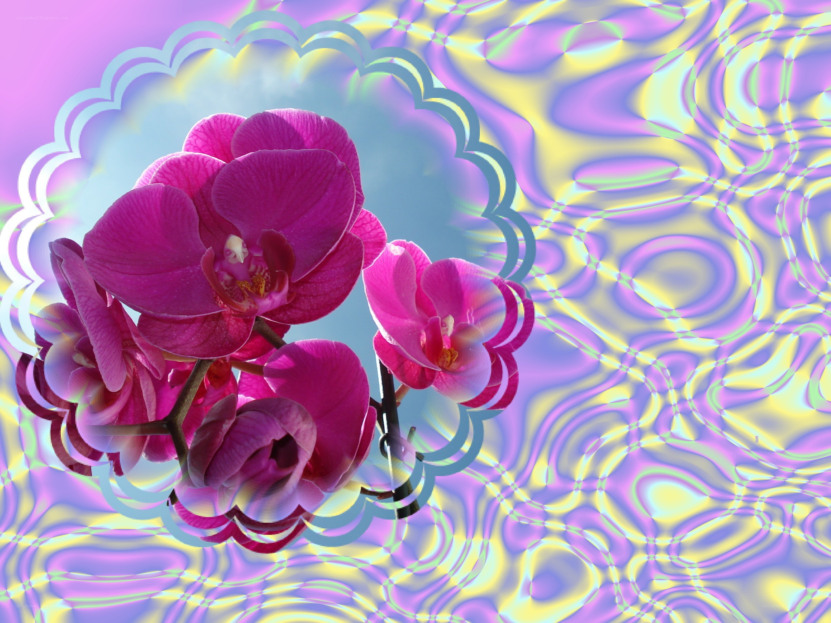Purple orchids with psychedelic background