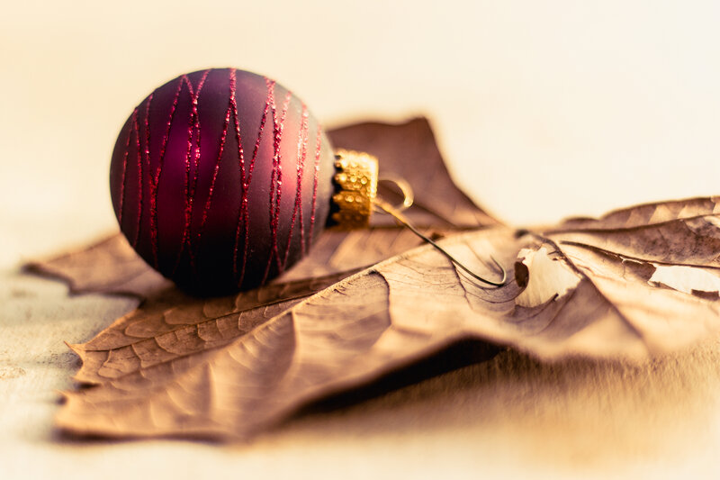 Purple Ornament on Leaf