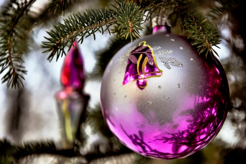 Purple Ornament on Tree — Festive