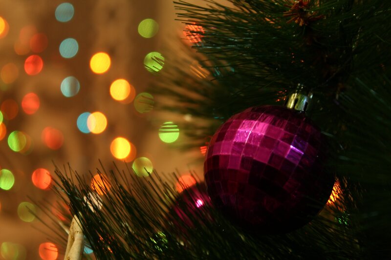 Purple Ornament on Tree — Green, Festive, Night