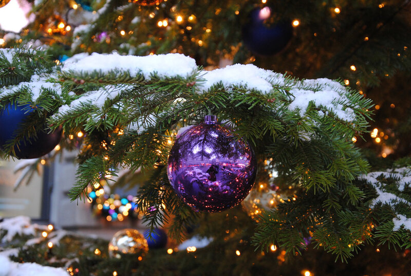 Purple Ornament on Tree — Green