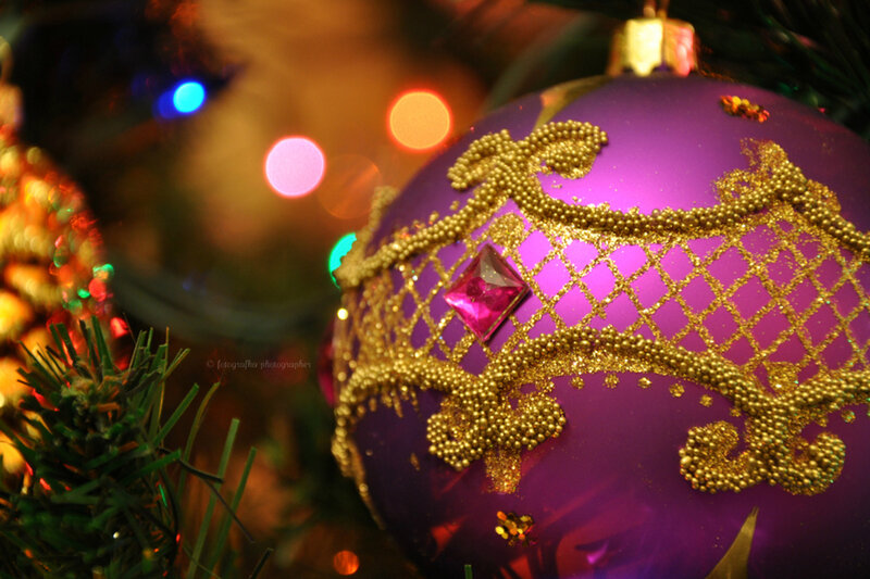 Purple Ornament on Tree