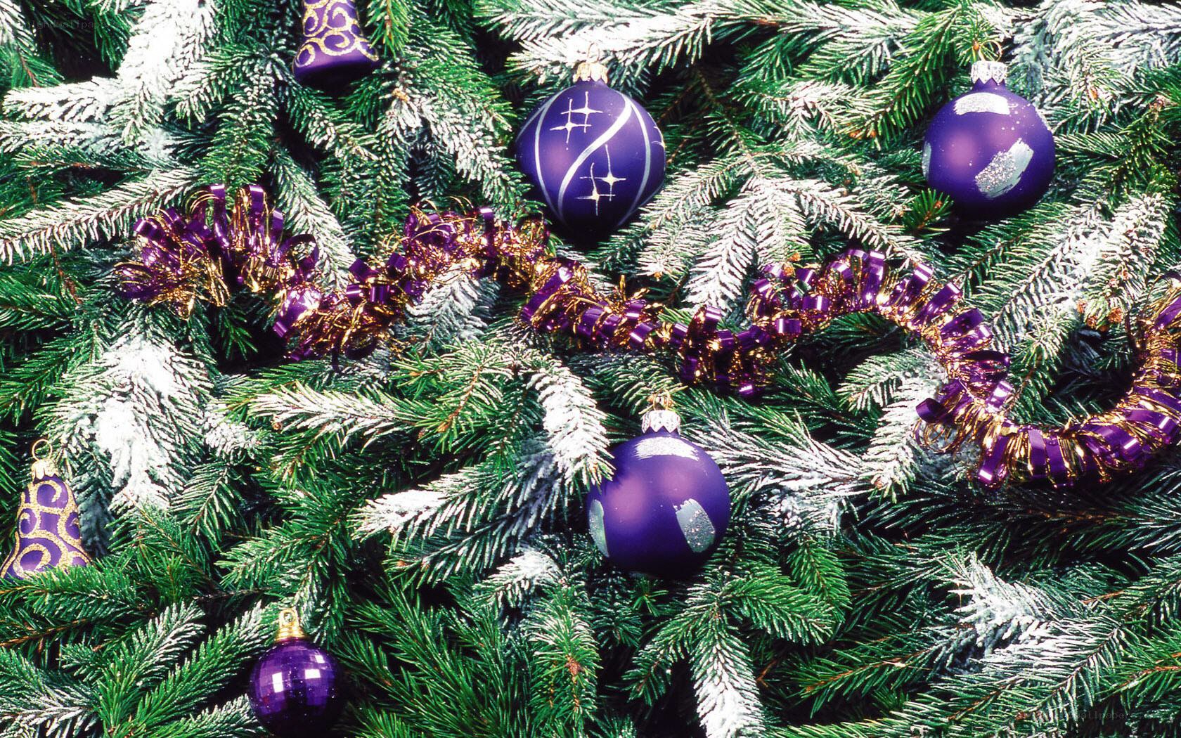 purple ornaments on a decorated tree