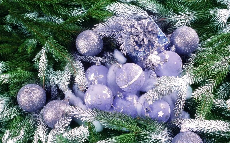 Purple Ornaments on Pine Branches — Green