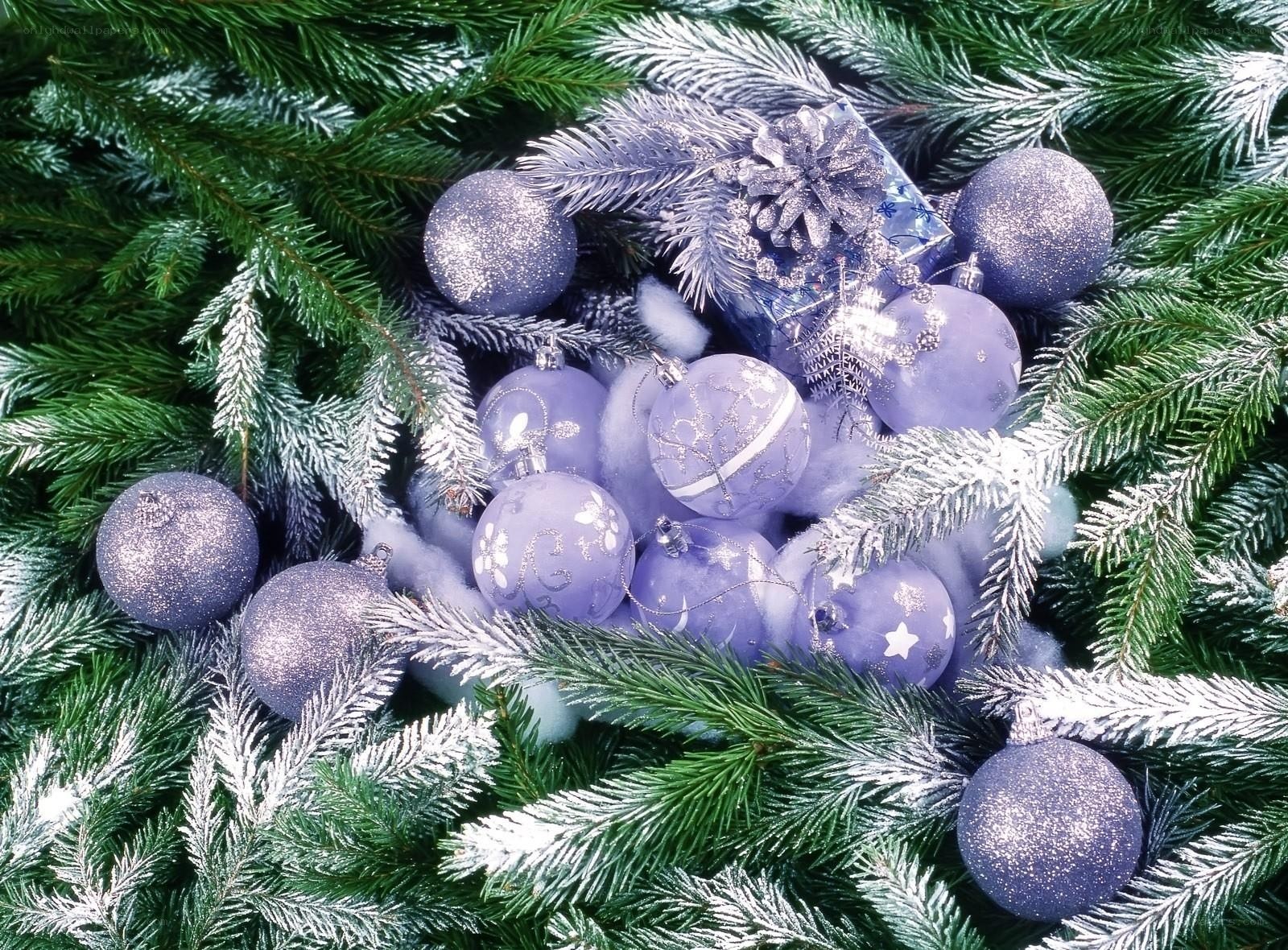 purple ornaments on pine branches