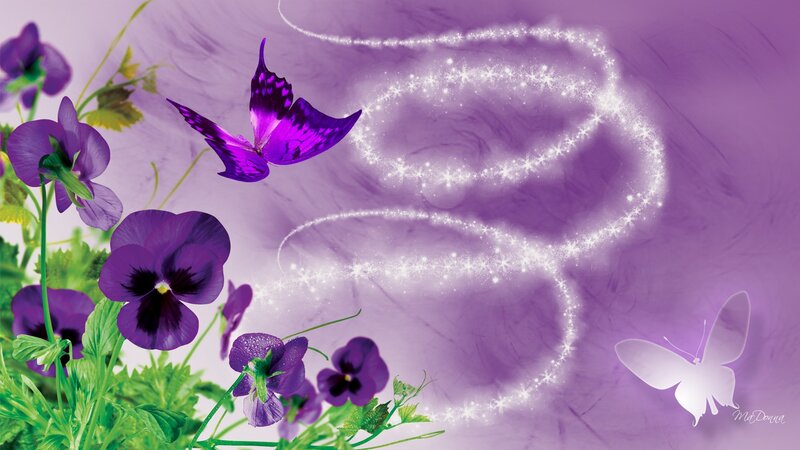 Purple Pansies and Butterflies — Dreamy