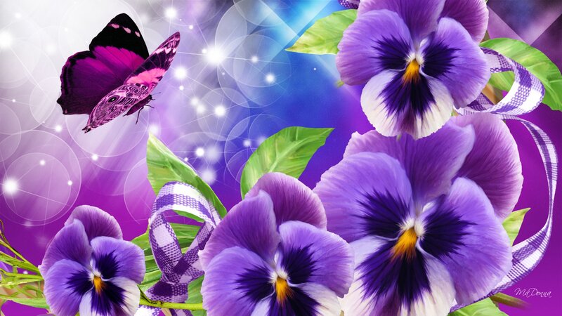 Purple Pansies and Butterfly
