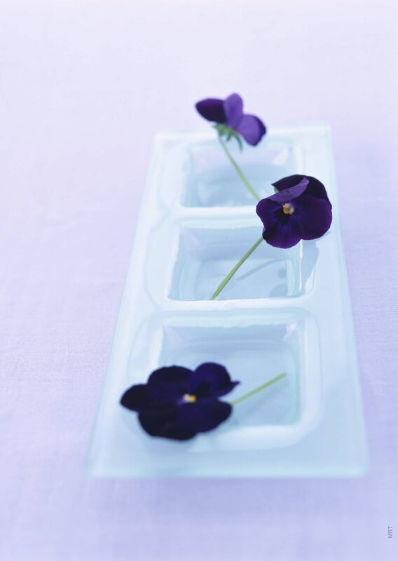 purple pansies in a dish