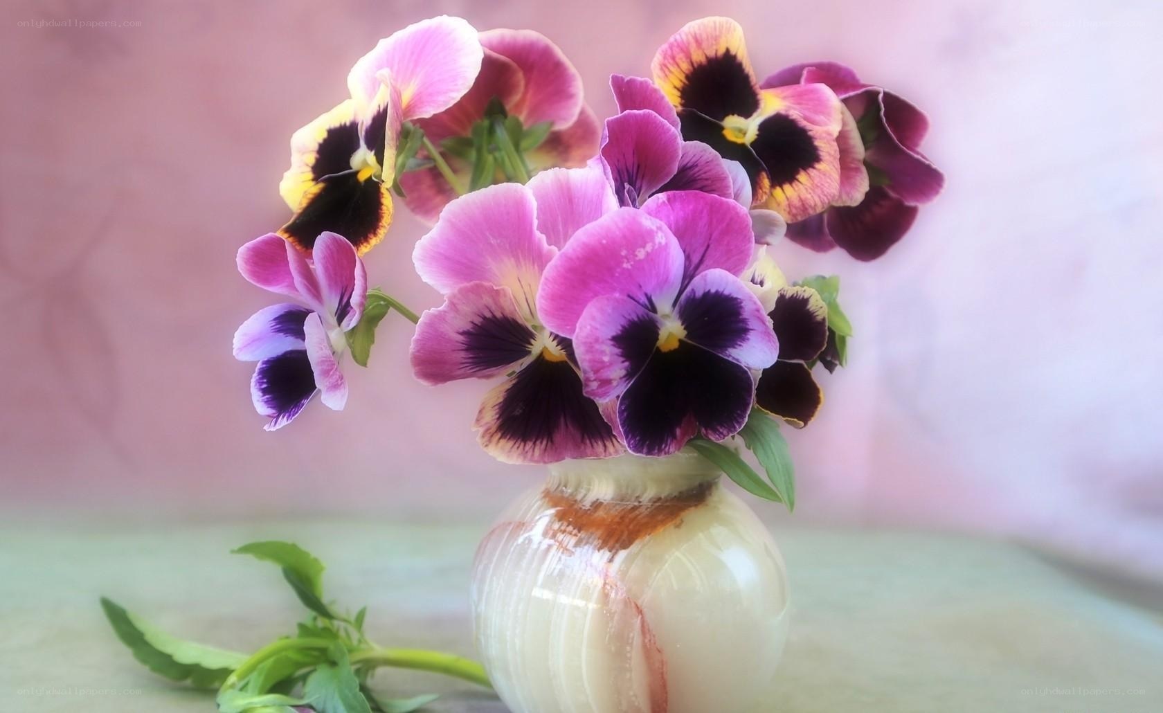 Purple pansies in a vase