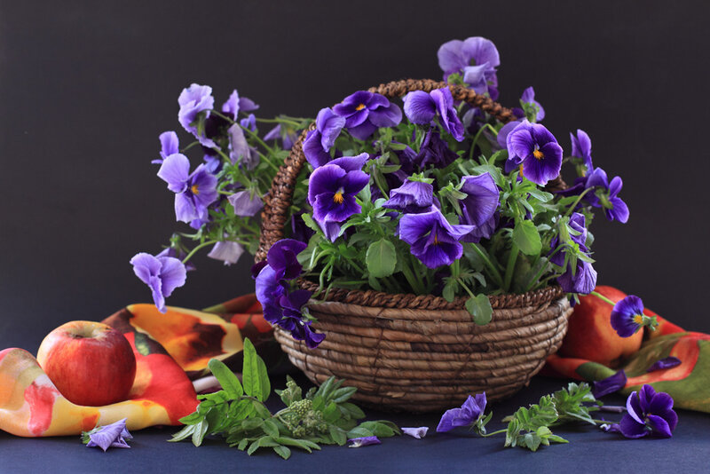 Purple Pansies in Basket — Calm