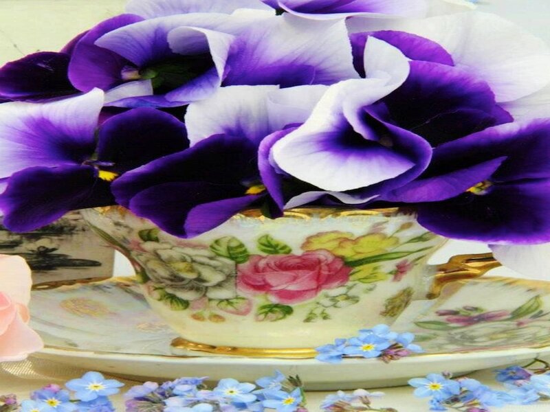 Purple Pansies in Teacup