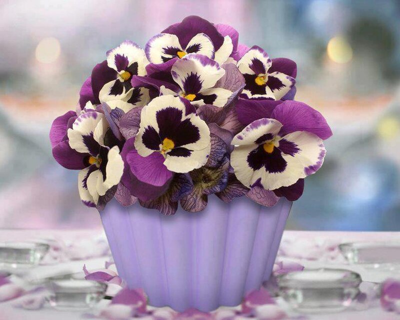 Purple Pansies in Vase — Calm, Photograph, Petals