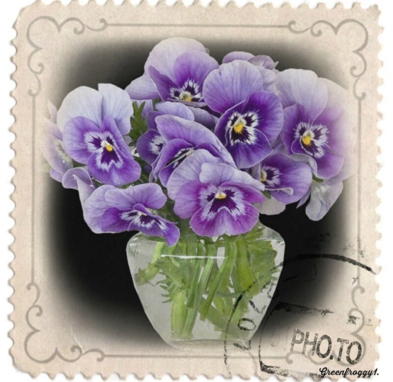 Purple Pansies in Vase — Calm, Photograph, Stamps