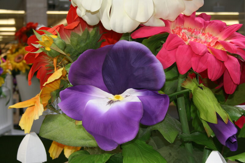 Purple Pansy Flower — Colorful