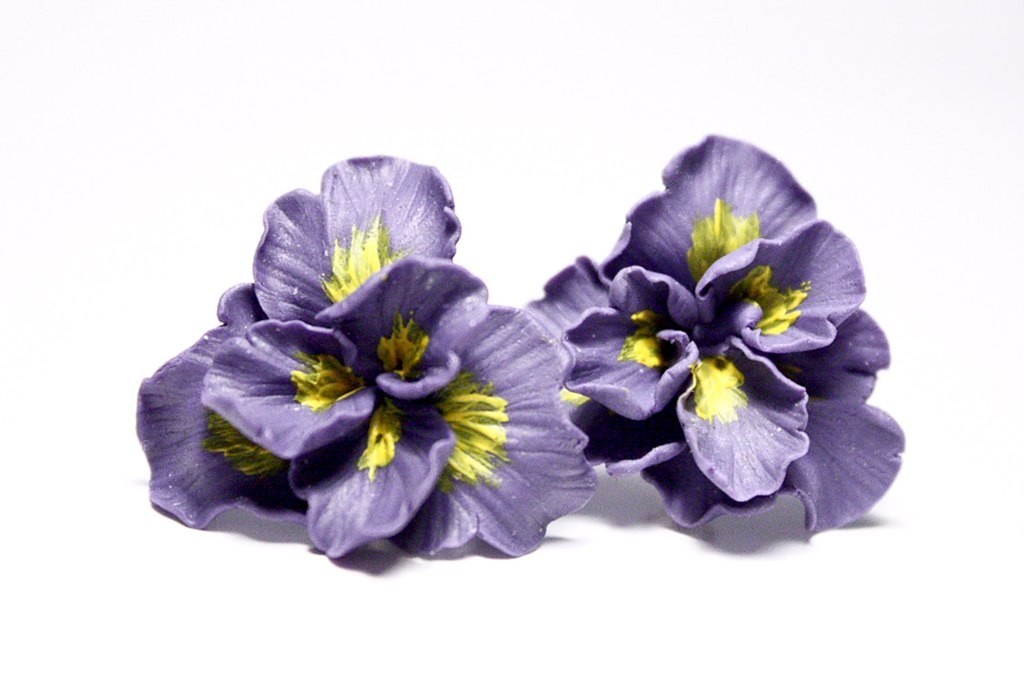purple pansy flowers