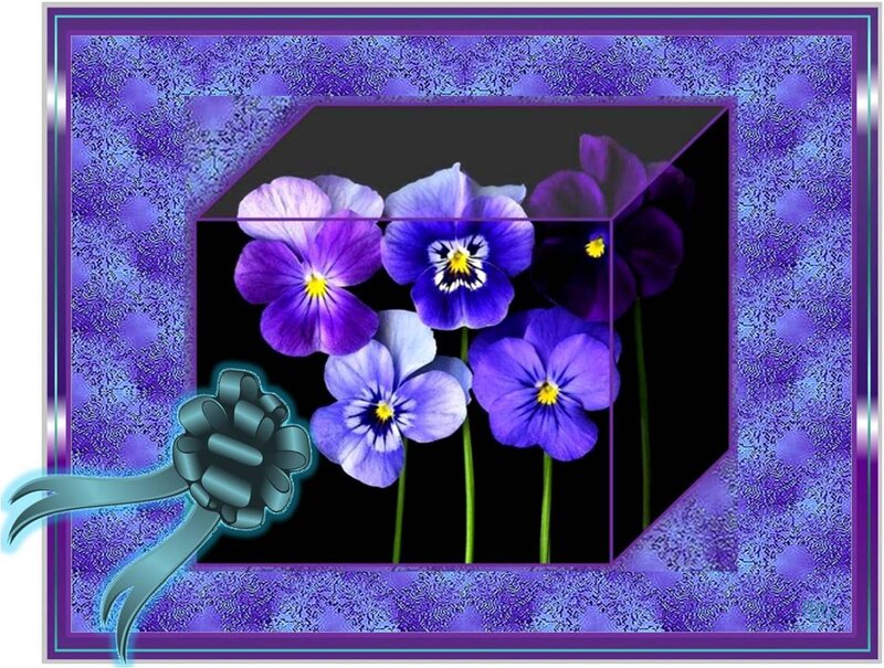 Purple Pansy Flowers — Decorative