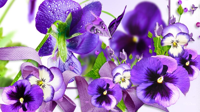 Purple Pansy Flowers — Vibrant, Spring, Digital Art