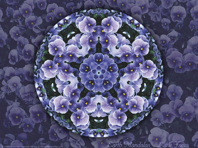 Purple Pansy Mandala