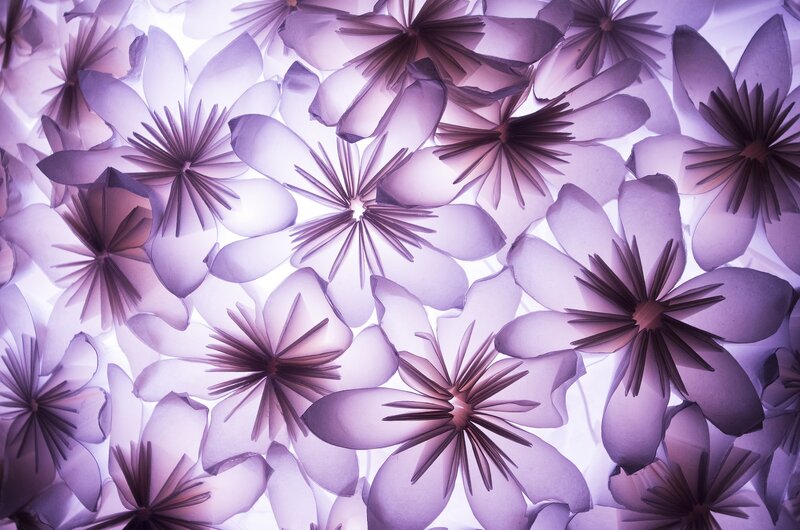 Purple Paper Flowers — Serene