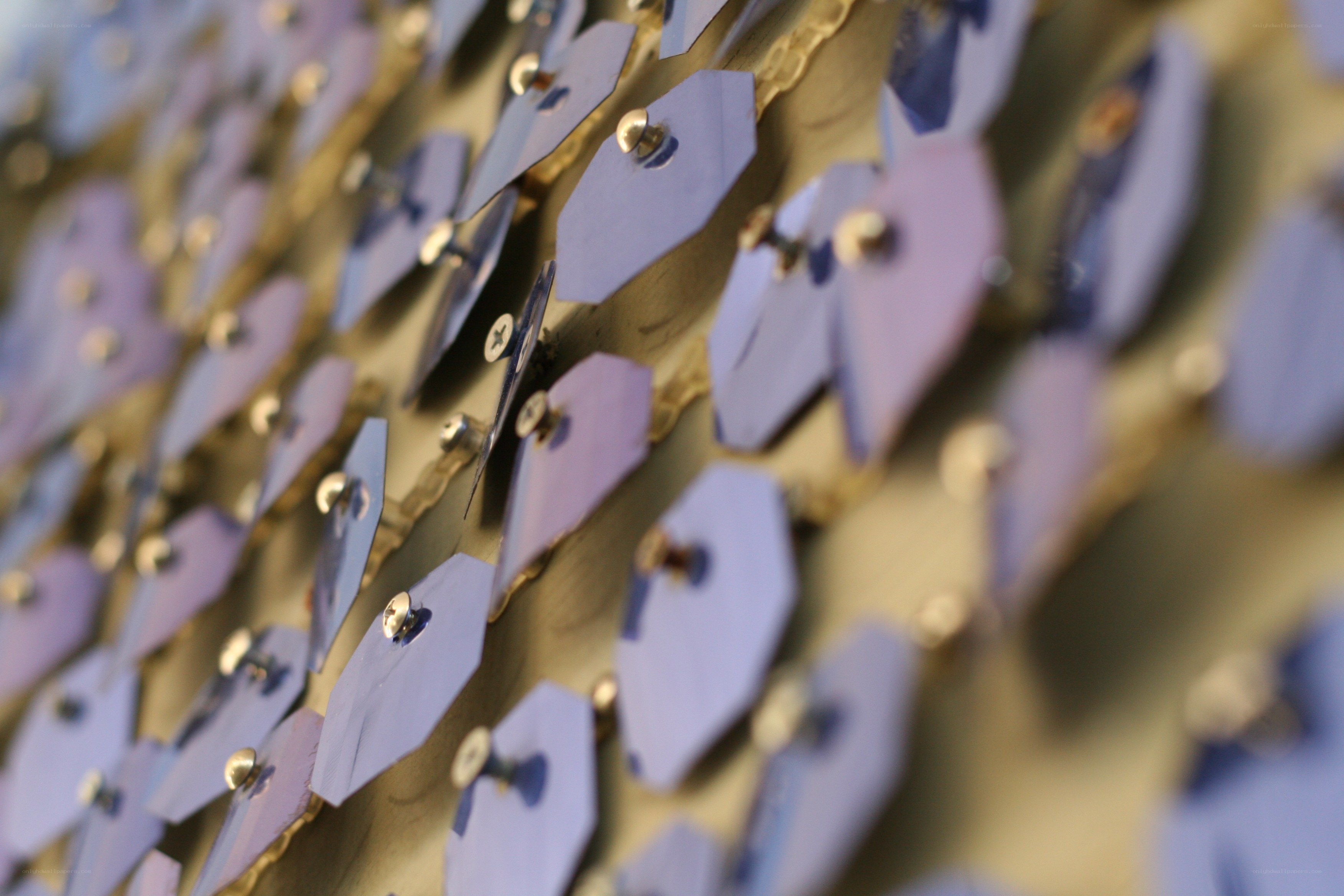 Purple paper hearts on gold wall