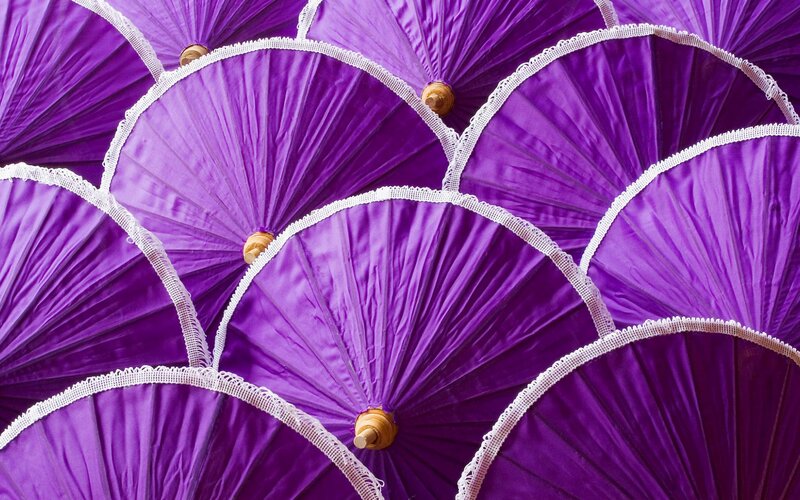 Purple Parasols