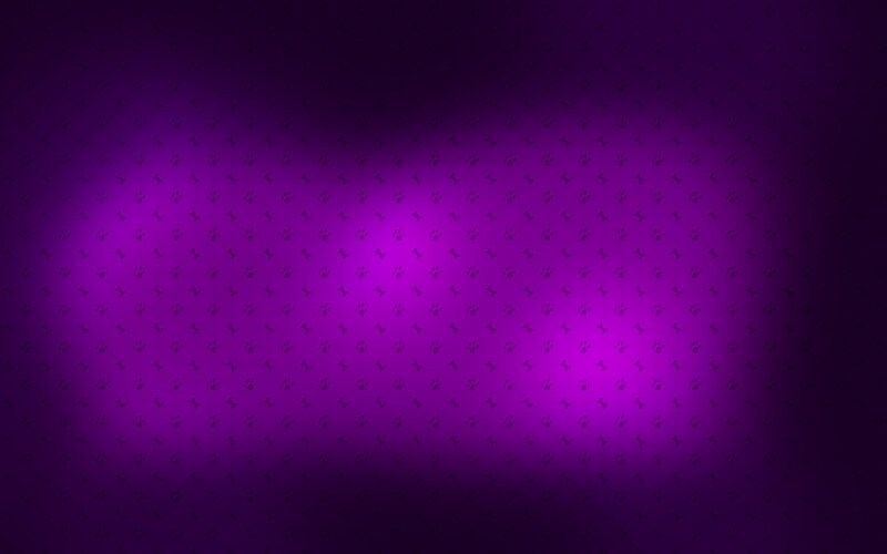 purple pattern with paw prints