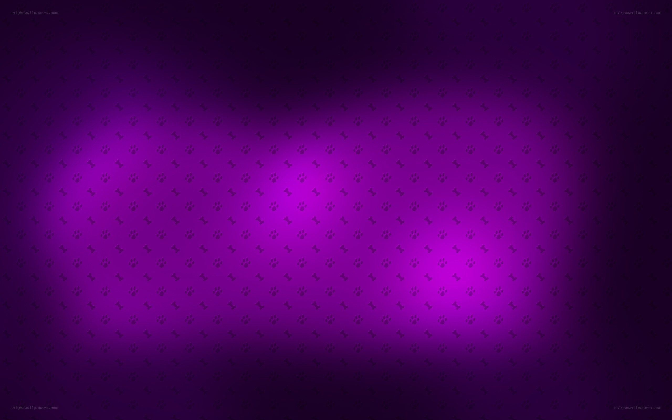 purple pattern with paw prints