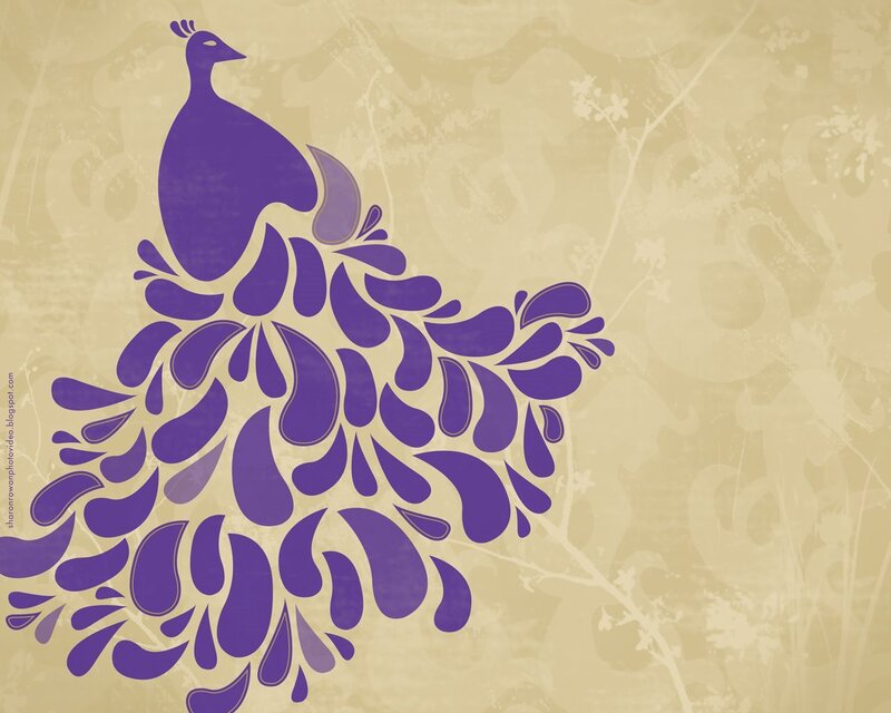 purple peacock design
