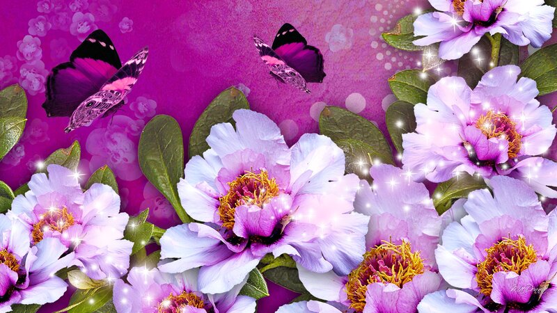 Purple Peonies and Butterflies — Dreamy